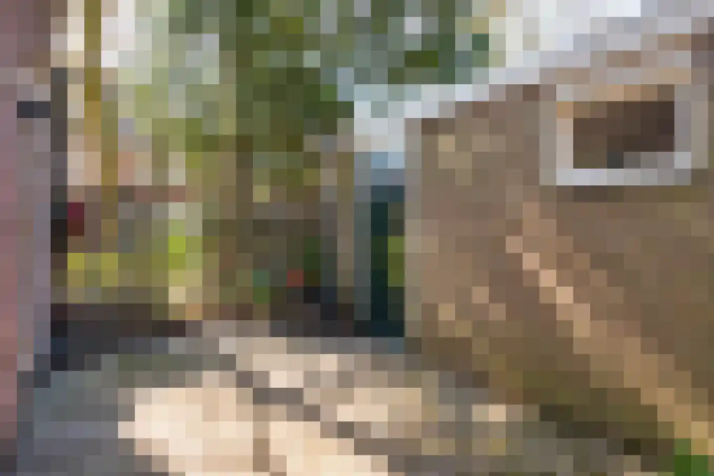 Vondellaan 57 Arnhem thumbnail 13