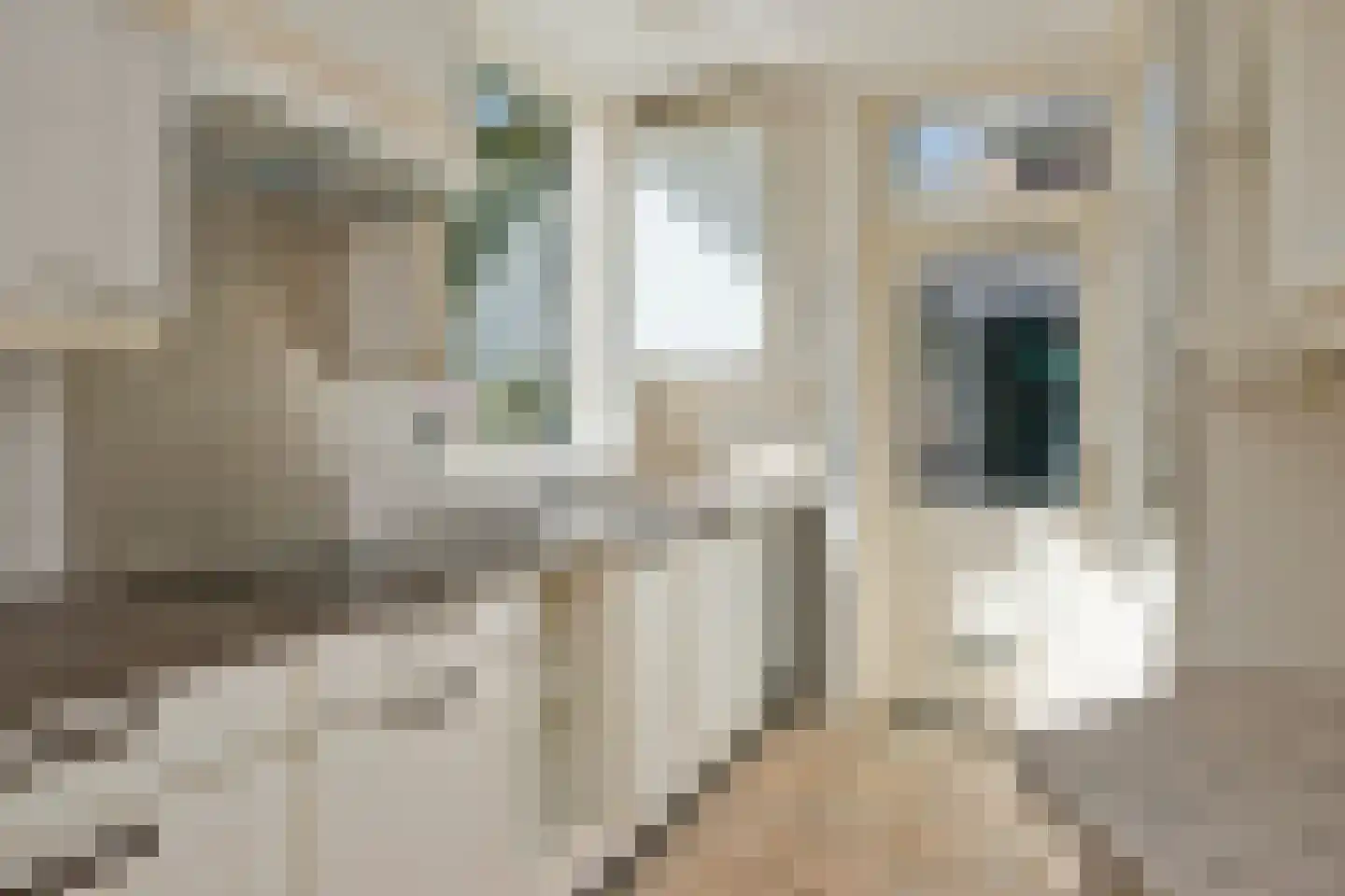 Vondellaan 57 Arnhem thumbnail 14