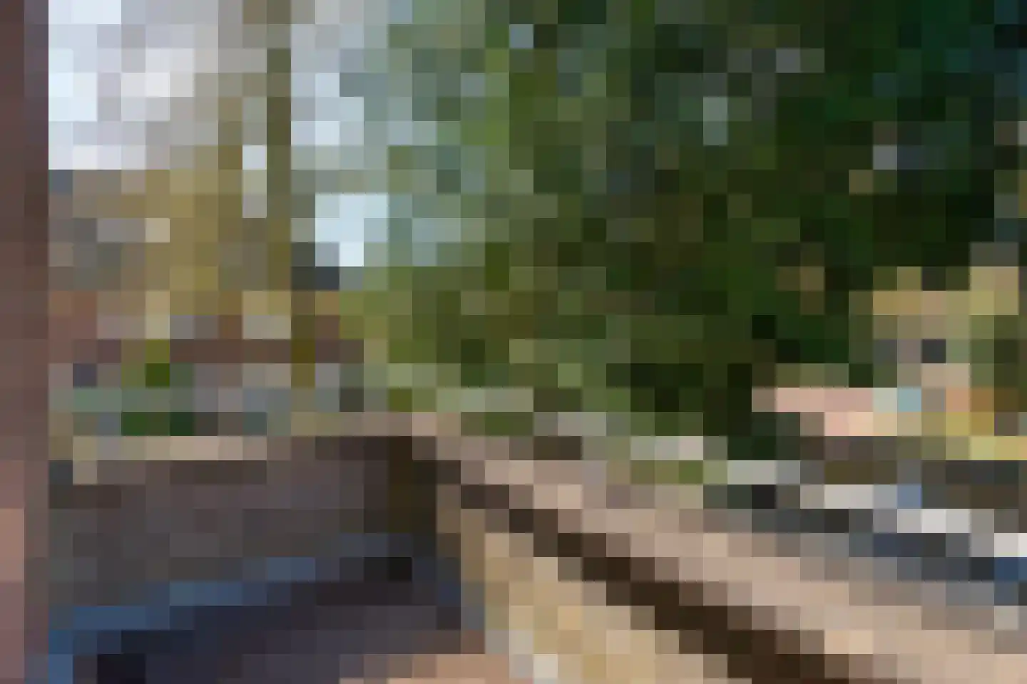 Vondellaan 57 Arnhem thumbnail 27