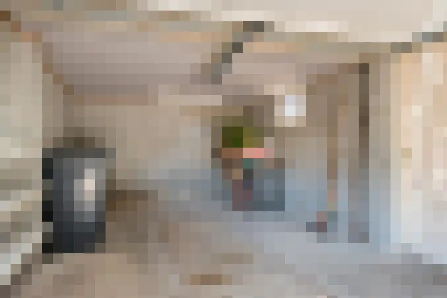 Vondellaan 57 Arnhem thumbnail 35