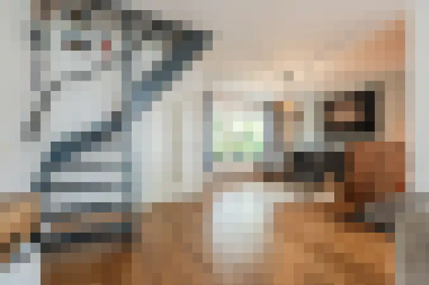 Vondellaan 57 Gemert thumbnail 19