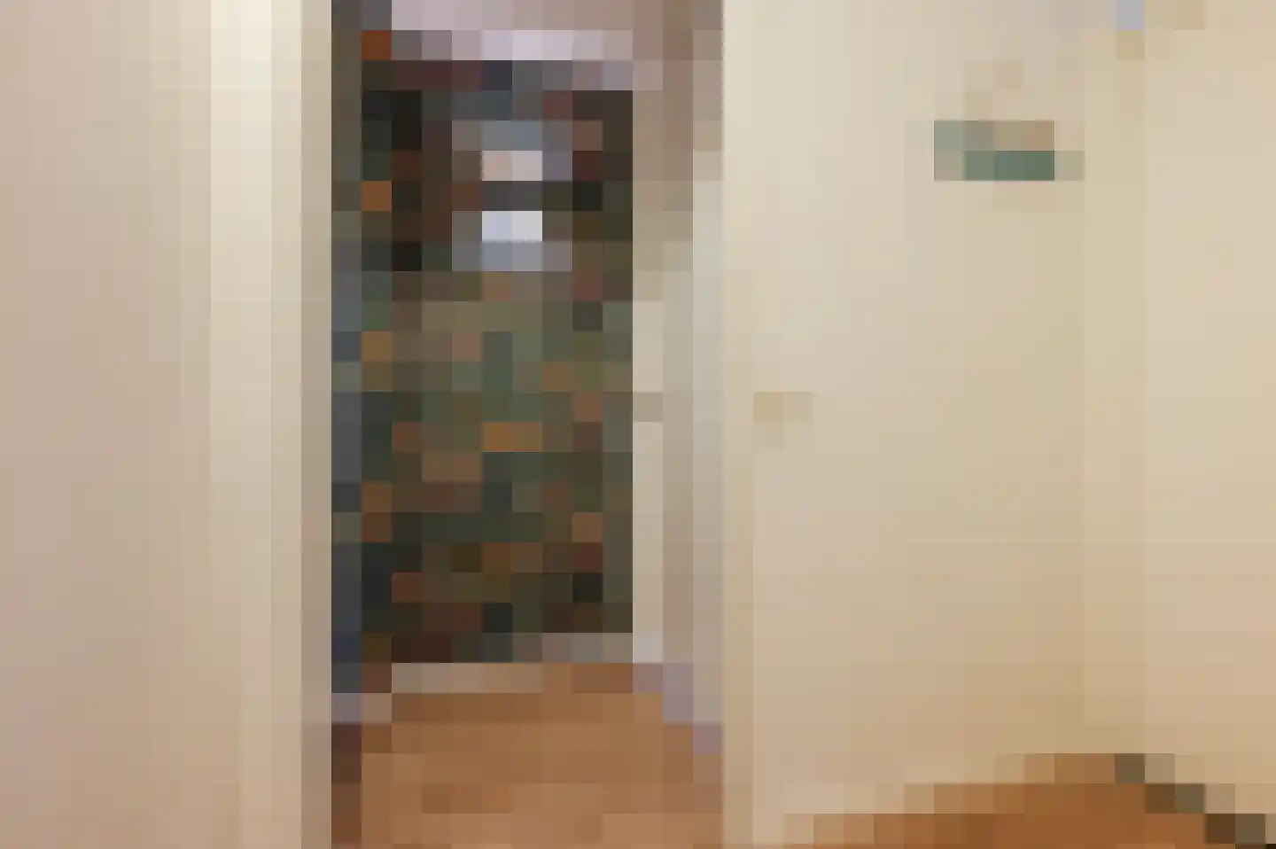 Vondellaan 57 Gemert thumbnail 25
