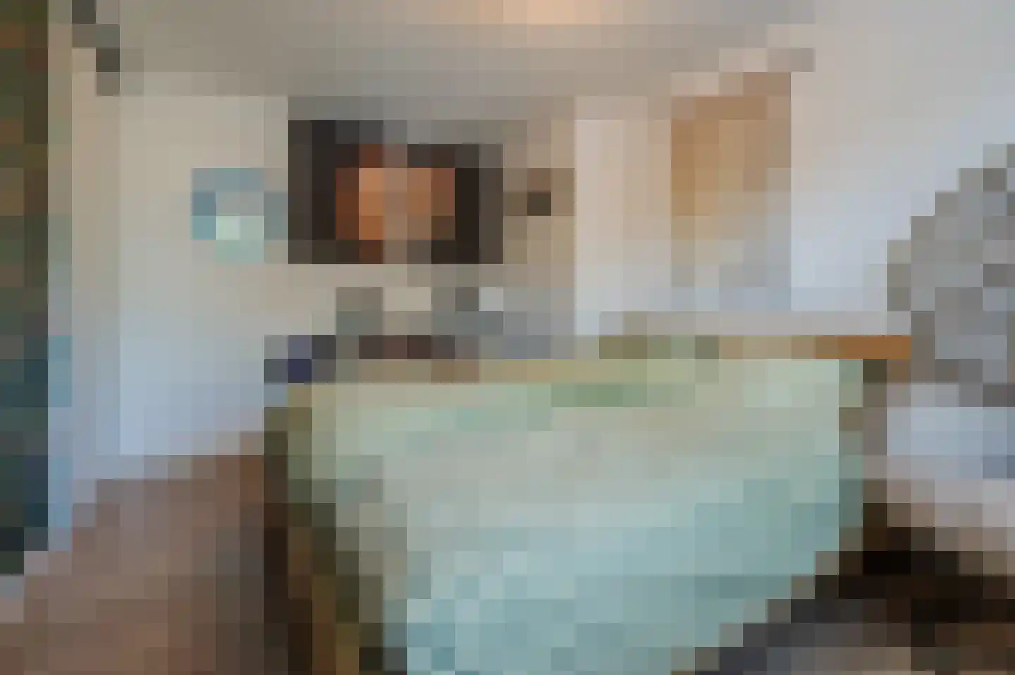 Vondellaan 57 Gemert thumbnail 30