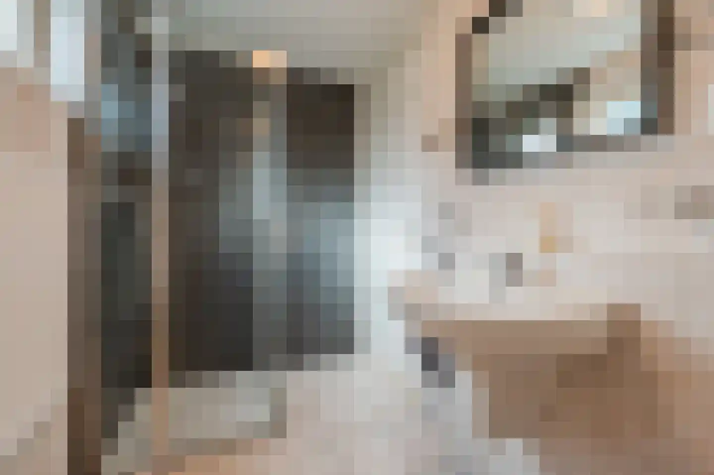 Vondellaan 57 Gemert thumbnail 33