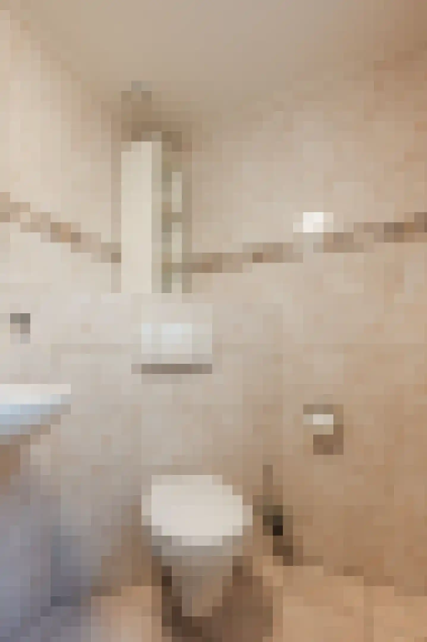 Vondellaan 57 Gemert thumbnail 36
