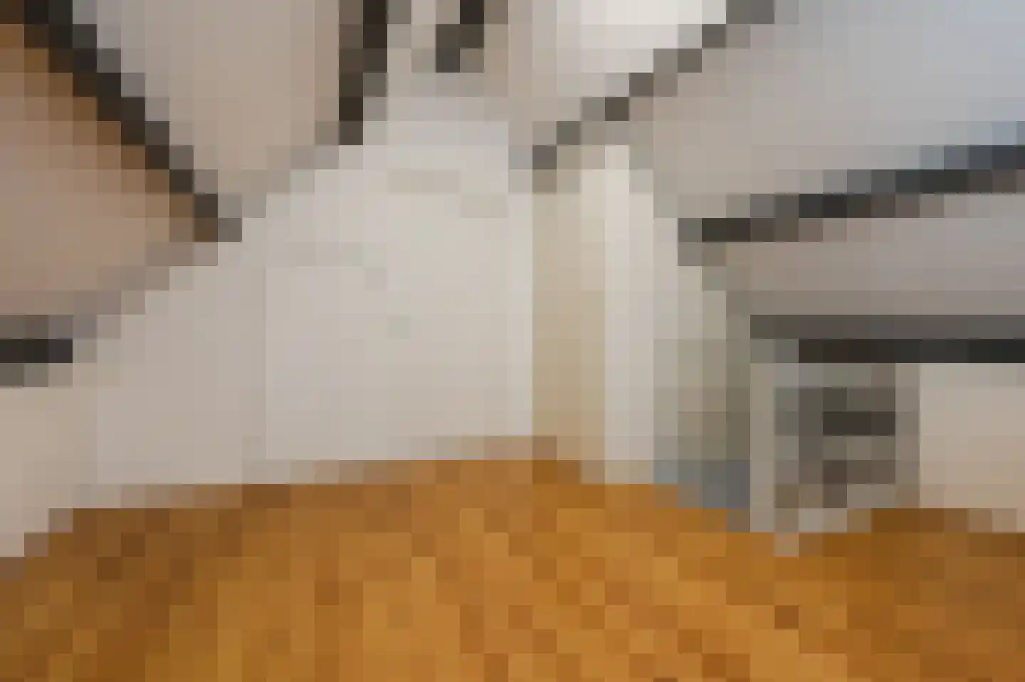 Vondellaan 57 Gemert thumbnail 39