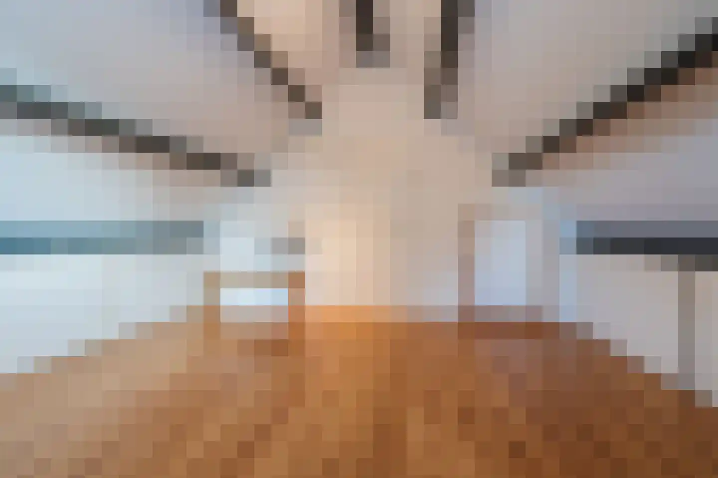 Vondellaan 57 Gemert thumbnail 41