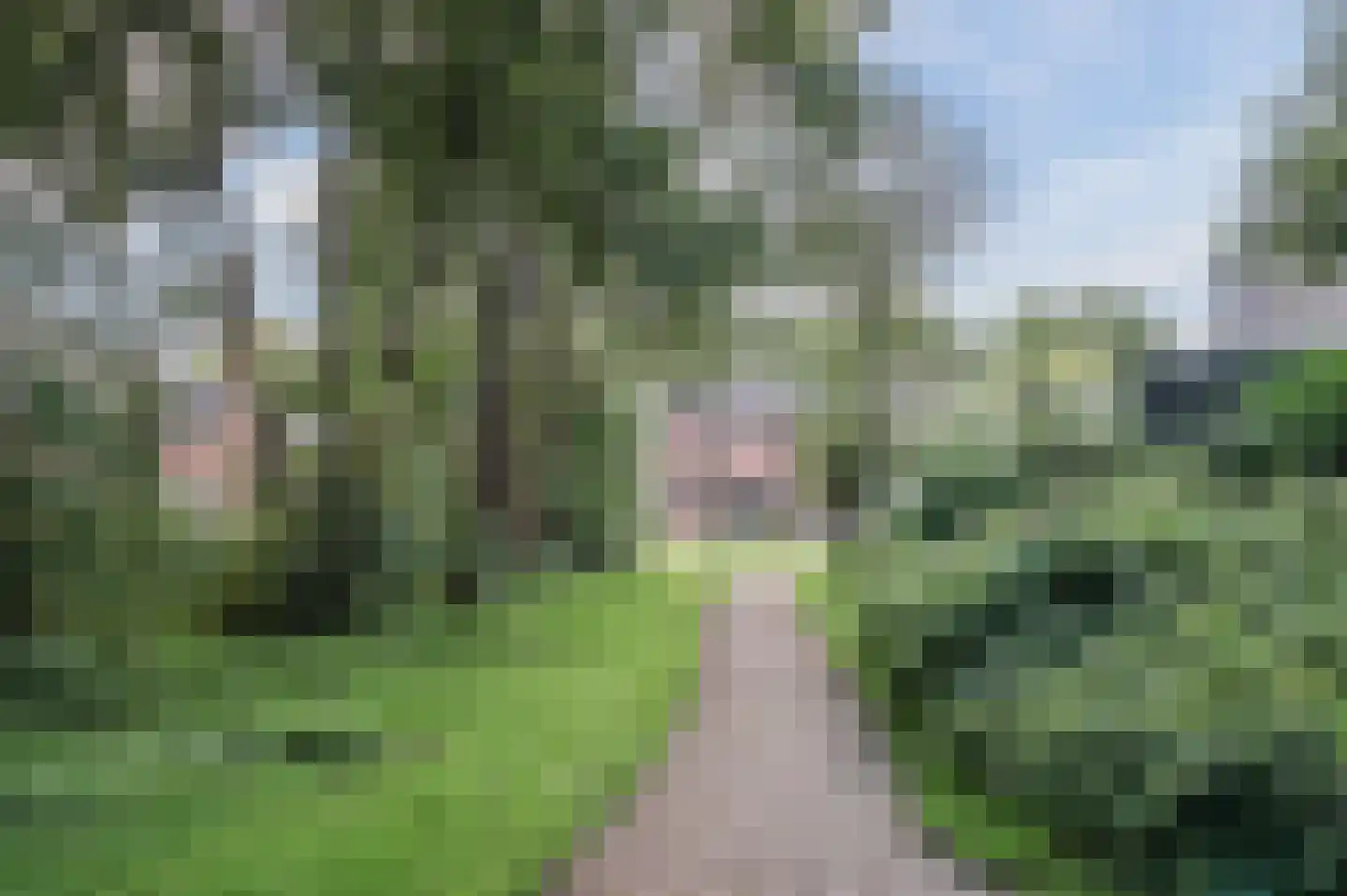 Vondellaan 57 Gemert thumbnail 51