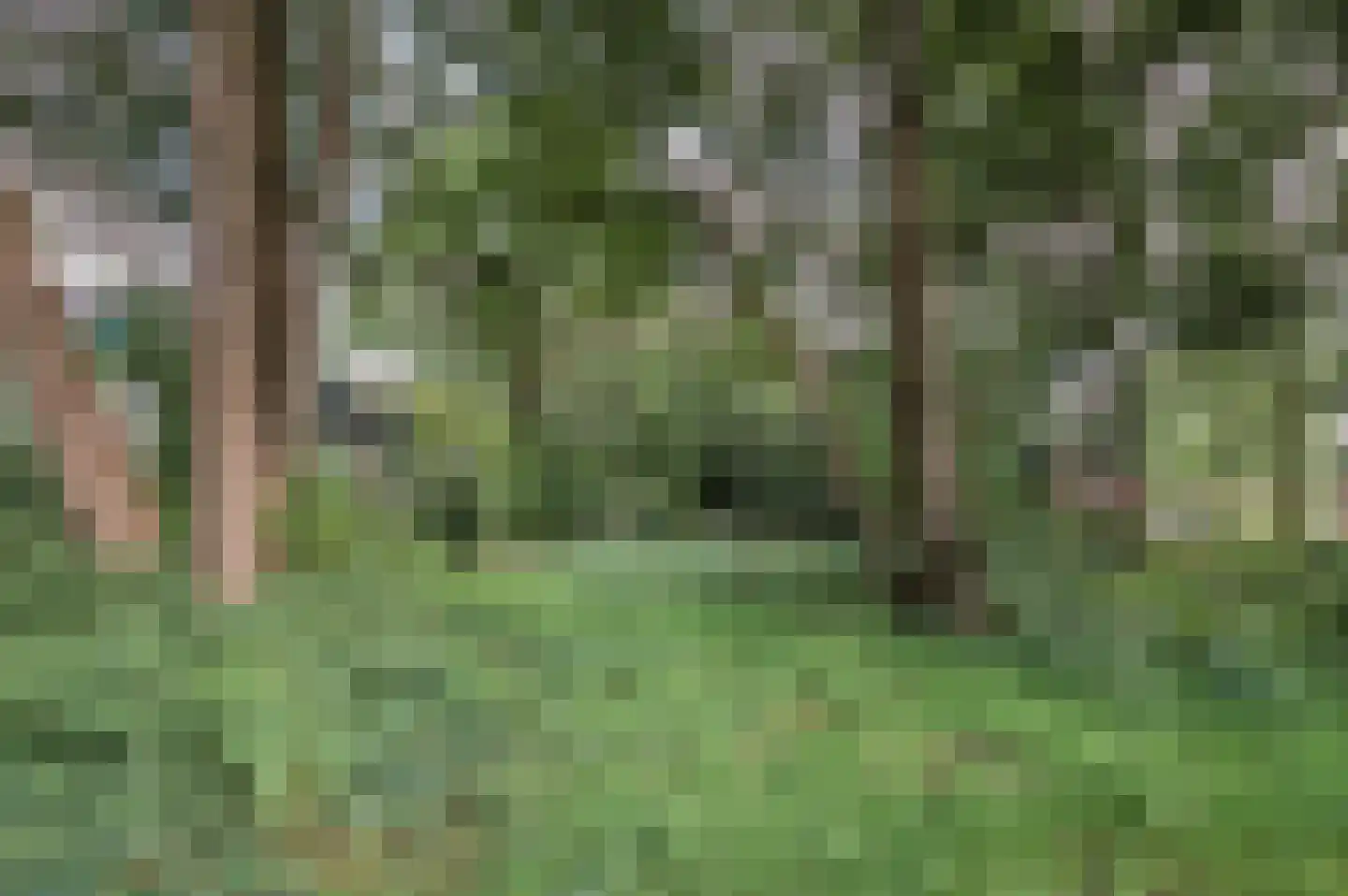Vondellaan 57 Gemert thumbnail 52