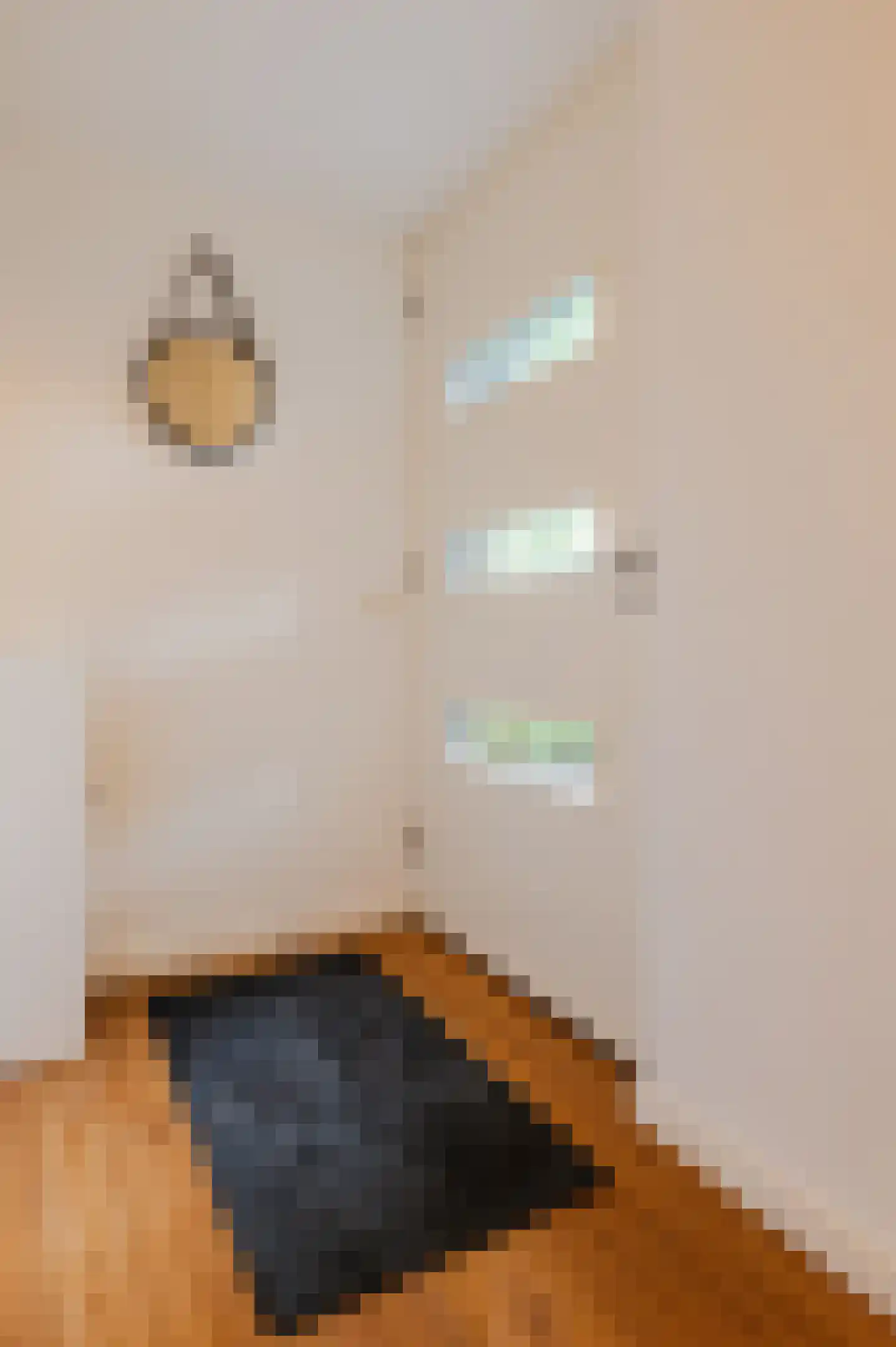 Vondellaan 57 Gemert thumbnail 8