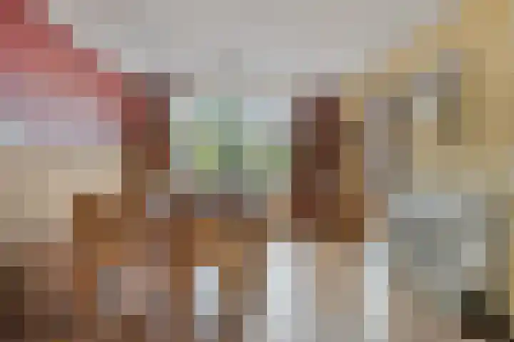 Vondellaan 59 Gemert thumbnail 10