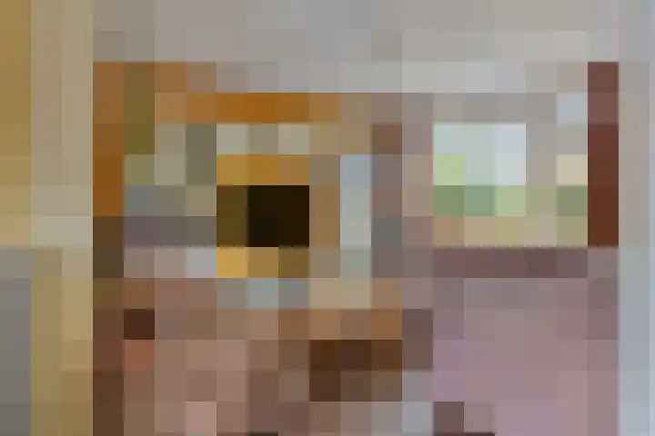 Vondellaan 59 Gemert thumbnail 11