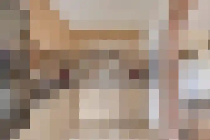 Vondellaan 59 Gemert thumbnail 16
