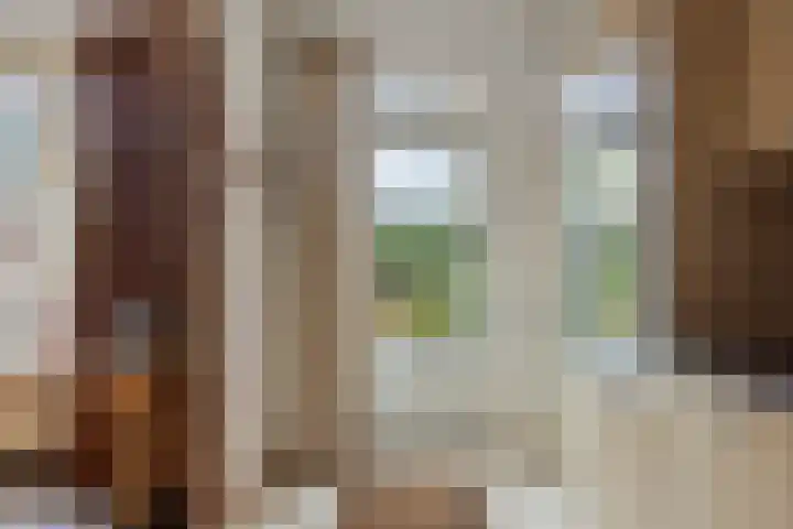 Vondellaan 59 Gemert thumbnail 17