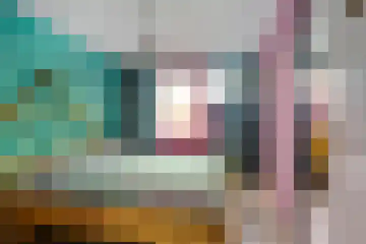 Vondellaan 59 Gemert thumbnail 21