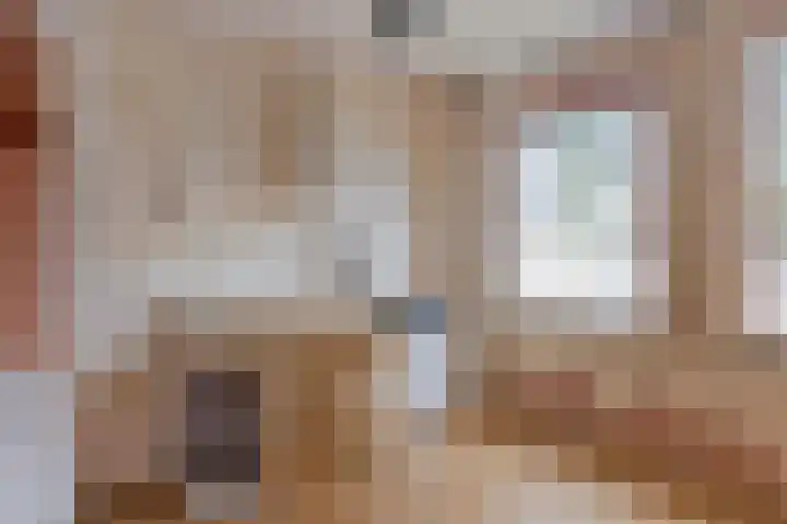 Vondellaan 59 Gemert thumbnail 24