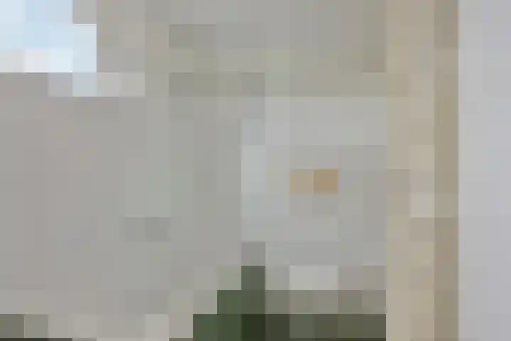 Vondellaan 59 Gemert thumbnail 26