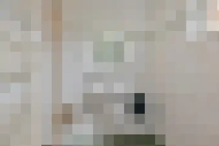 Vondellaan 59 Gemert thumbnail 27