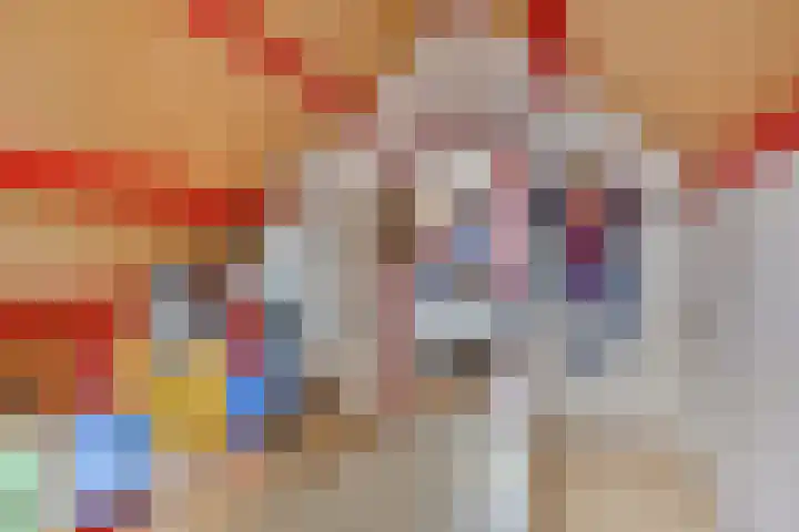 Vondellaan 59 Gemert thumbnail 28