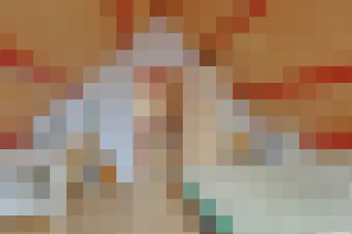 Vondellaan 59 Gemert thumbnail 31