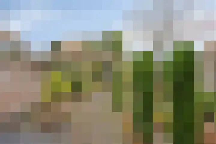 Vondellaan 59 Gemert thumbnail 32
