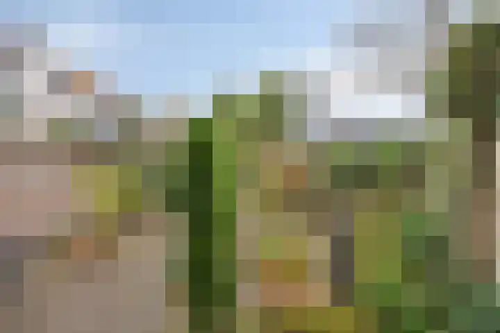 Vondellaan 59 Gemert thumbnail 33