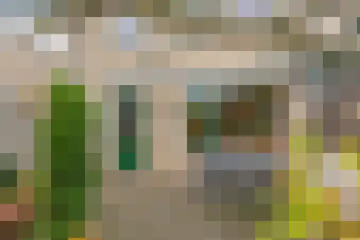 Vondellaan 59 Gemert thumbnail 34