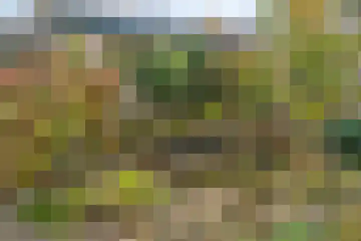 Vondellaan 59 Gemert thumbnail 35