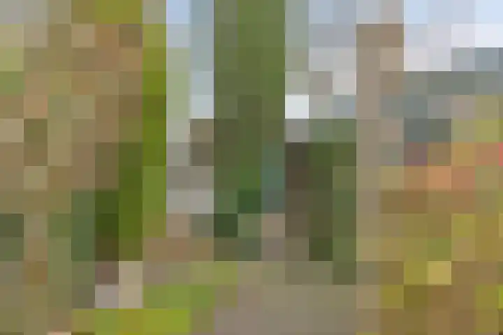 Vondellaan 59 Gemert thumbnail 36
