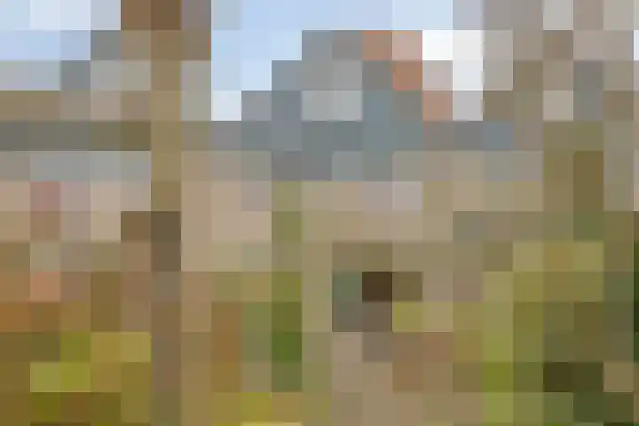 Vondellaan 59 Gemert thumbnail 38