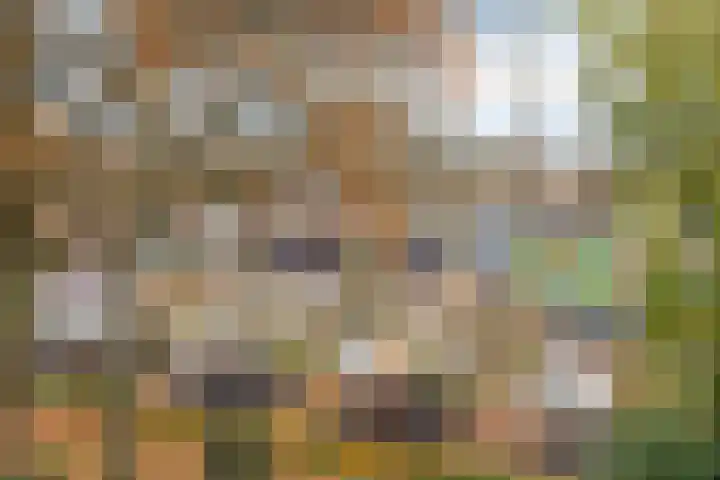 Vondellaan 59 Gemert thumbnail 39