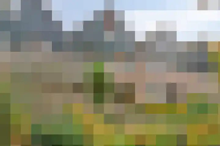 Vondellaan 59 Gemert thumbnail 6