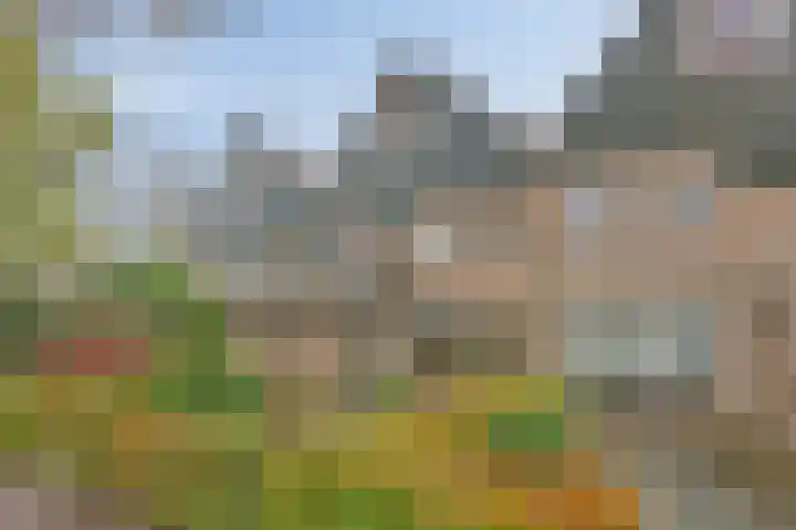 Vondellaan 59 Gemert thumbnail 7