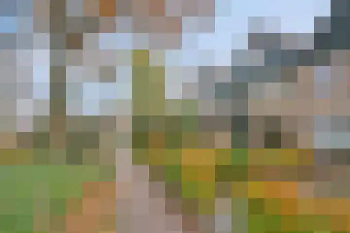 Vondellaan 59 Gemert thumbnail 8