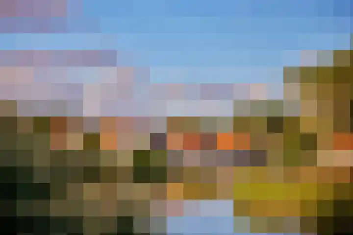 Vondellaan 60 a 518 Zandvoort thumbnail 14