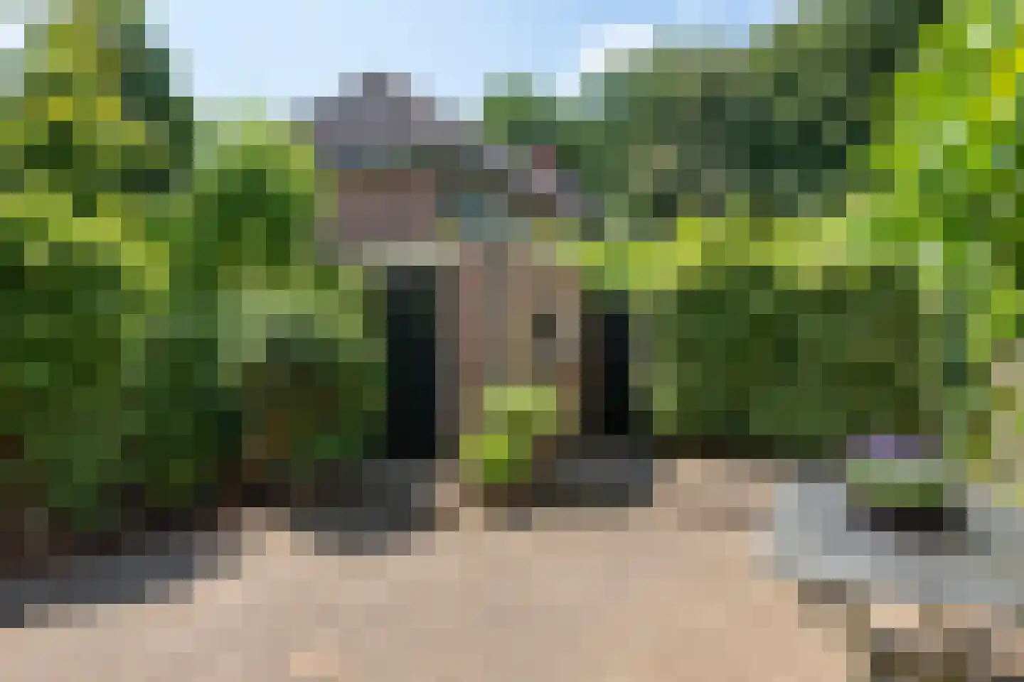 Vondellaan 61 Arnhem thumbnail 14