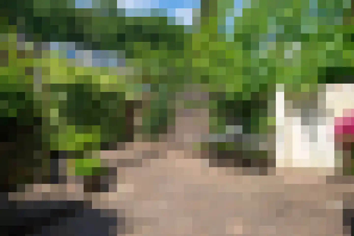 Vondellaan 61 Arnhem thumbnail 15