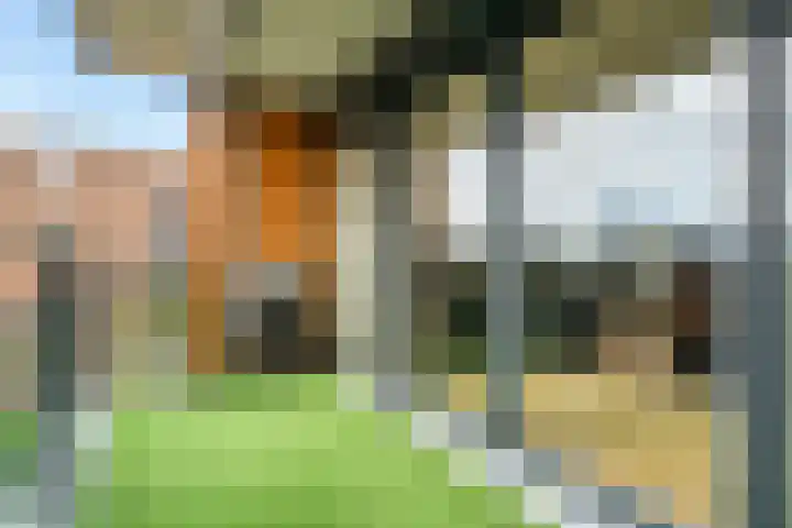 Vondellaan 61 Assen thumbnail 16