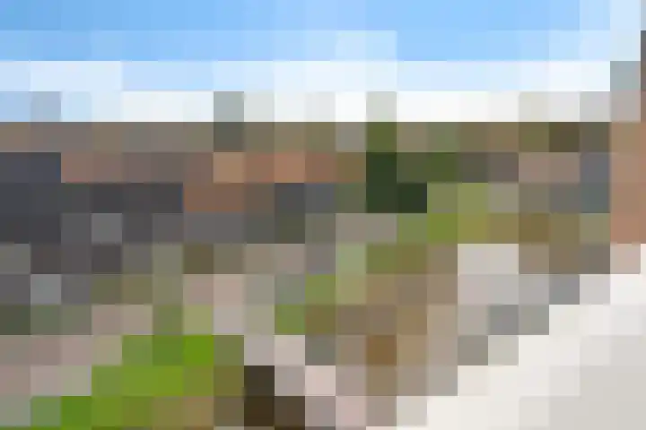 Vondellaan 61 Assen thumbnail 17