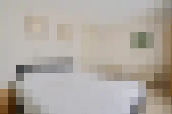 Vondellaan 61 Assen thumbnail 23