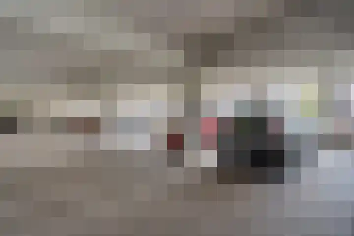 Vondellaan 61 Assen thumbnail 33