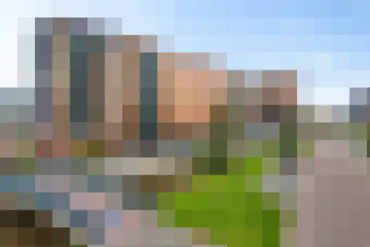 Vondellaan 61 Assen thumbnail 36
