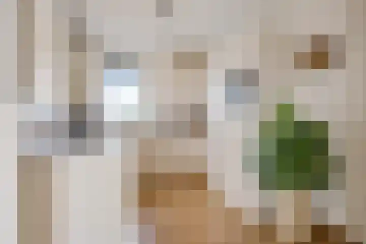 Vondellaan 61 Assen thumbnail 7