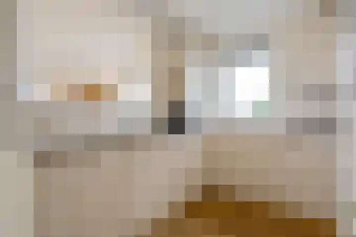 Vondellaan 61 Assen thumbnail 8