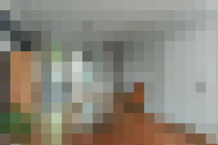 Vondellaan 63 Arnhem thumbnail 13