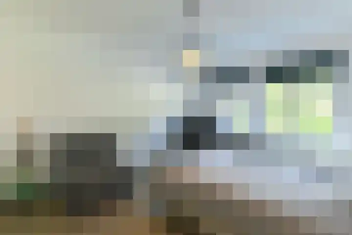 Vondellaan 63 Arnhem thumbnail 20