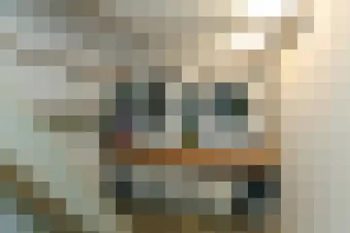 Vondellaan 63 Arnhem thumbnail 33