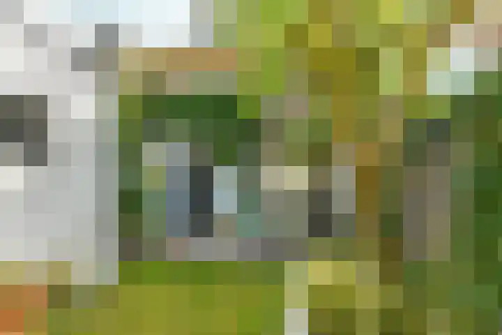 Vondellaan 63 Arnhem thumbnail 35