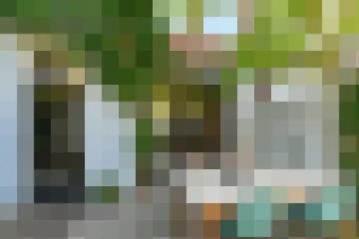 Vondellaan 63 Arnhem thumbnail 38