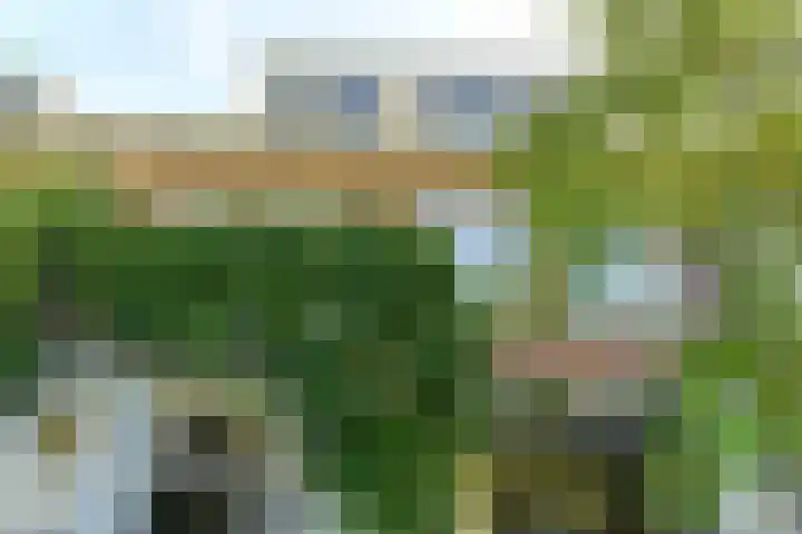 Vondellaan 63 Arnhem thumbnail 39